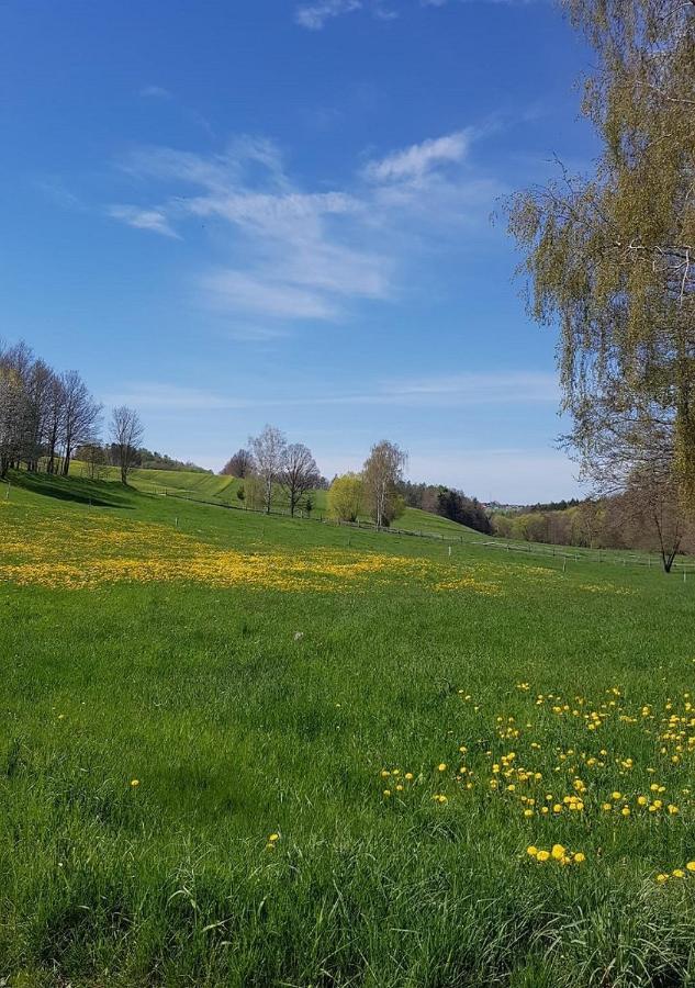 Ferienhaus Polly Rabenau Екстер'єр фото